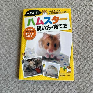 かわいいハムスタ－飼い方・育て方(住まい/暮らし/子育て)