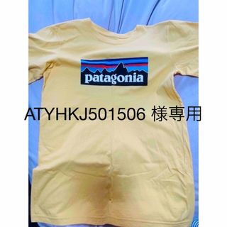 パタゴニア(patagonia)の専用Patagonia ジュニア キッズXLサイズ14 半袖Tシャツ 美品(Tシャツ(半袖/袖なし))