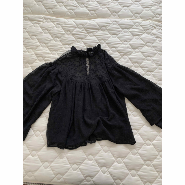 ZARA(ザラ)のZara  刺繍入りチュールブラウス S レディースのトップス(シャツ/ブラウス(長袖/七分))の商品写真