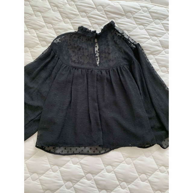 ZARA(ザラ)のZara  刺繍入りチュールブラウス S レディースのトップス(シャツ/ブラウス(長袖/七分))の商品写真