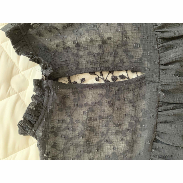 ZARA(ザラ)のZara  刺繍入りチュールブラウス S レディースのトップス(シャツ/ブラウス(長袖/七分))の商品写真