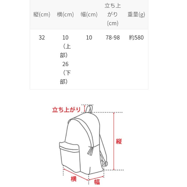 ピカード ドイツ製 正規品 リズ リュック バック
