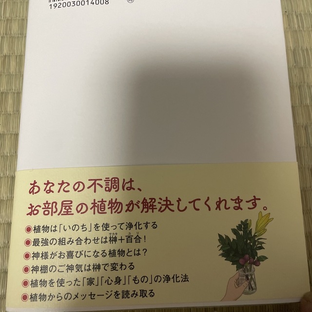 悪い気は植物が吸ってくれる エンタメ/ホビーの本(住まい/暮らし/子育て)の商品写真