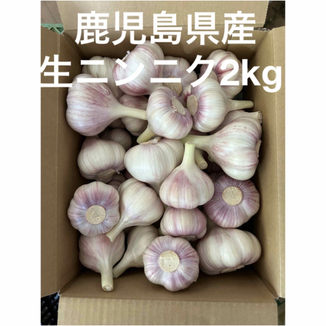 生ニンニク2kg  鹿児島県産 食品/飲料/酒の食品(野菜)の商品写真