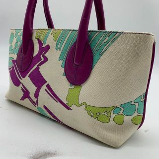 一度使用した美品】EMILIO PUCCIエミリオプッチバッグ-