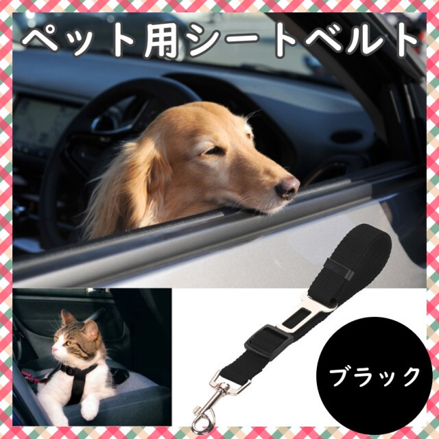 犬 猫 ペット シートベルト ドライブ お出かけ 車 リード ゲージ 赤