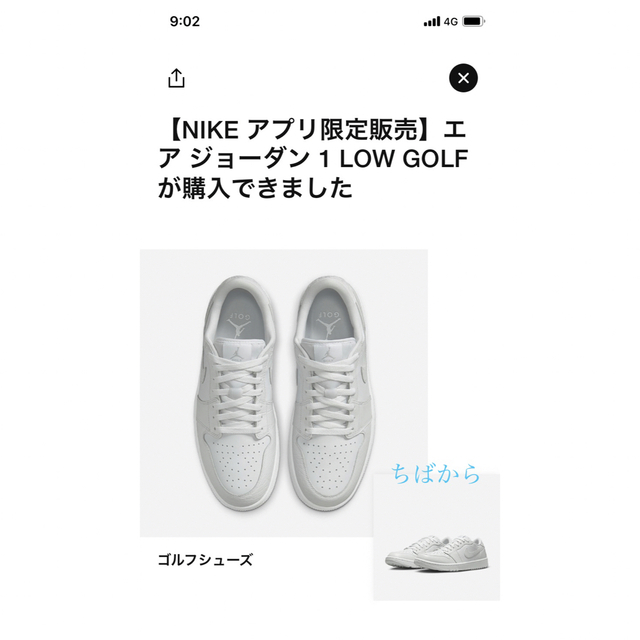 Jordan Brand(NIKE) - 【貴重・国内正規品】エアジョーダン1LOW GOLF