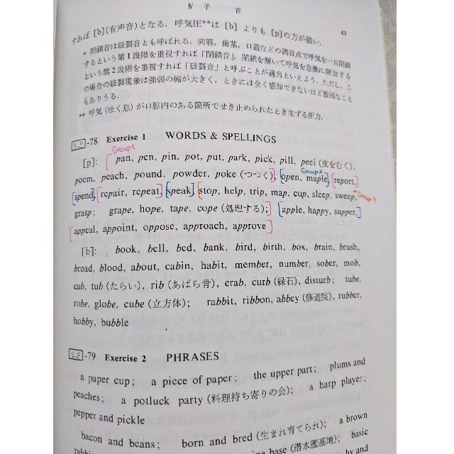 演習英語音声学 エンタメ/ホビーの本(語学/参考書)の商品写真