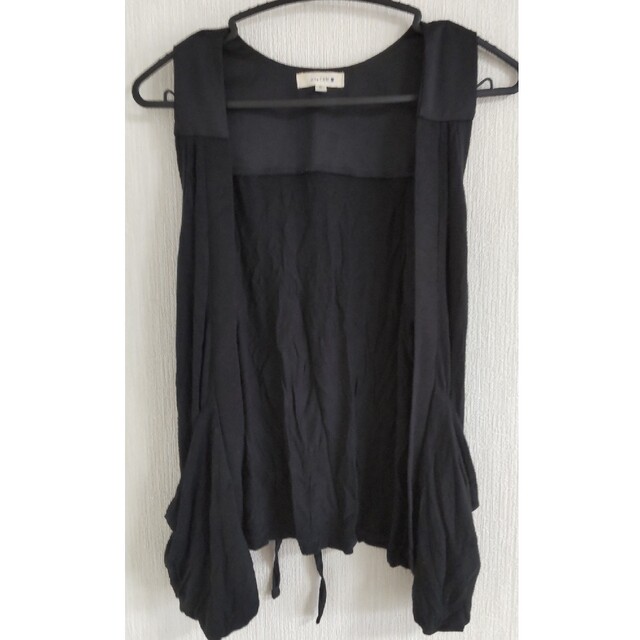 anyFAM(エニィファム)のanyfam　ベスト　ブラック　フリー レディースのトップス(ベスト/ジレ)の商品写真