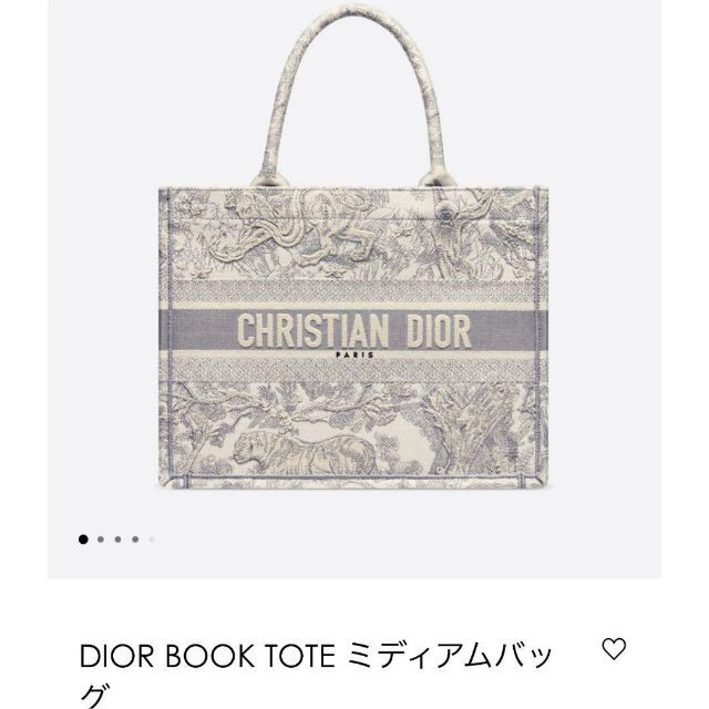 Dior ディオール ブックトート Book Tote【新品未使用】 | kinderpartys.at