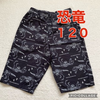 ユニクロ(UNIQLO)のユニクロ　ステテコ　リラコ　恐竜　ティラノサウルス　キッズ　120(パジャマ)