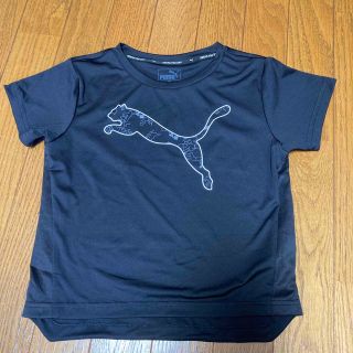 プーマ(PUMA)のPUMA プーマ キッズ Tシャツ (Tシャツ/カットソー)