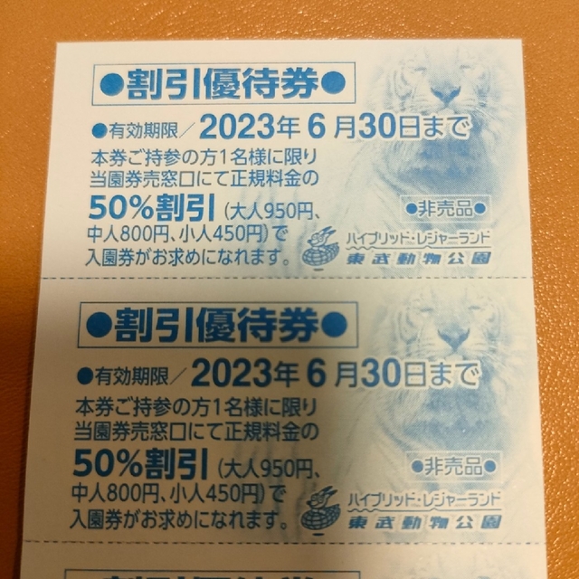 東武動物公園　入園券　優待券 チケットの施設利用券(遊園地/テーマパーク)の商品写真