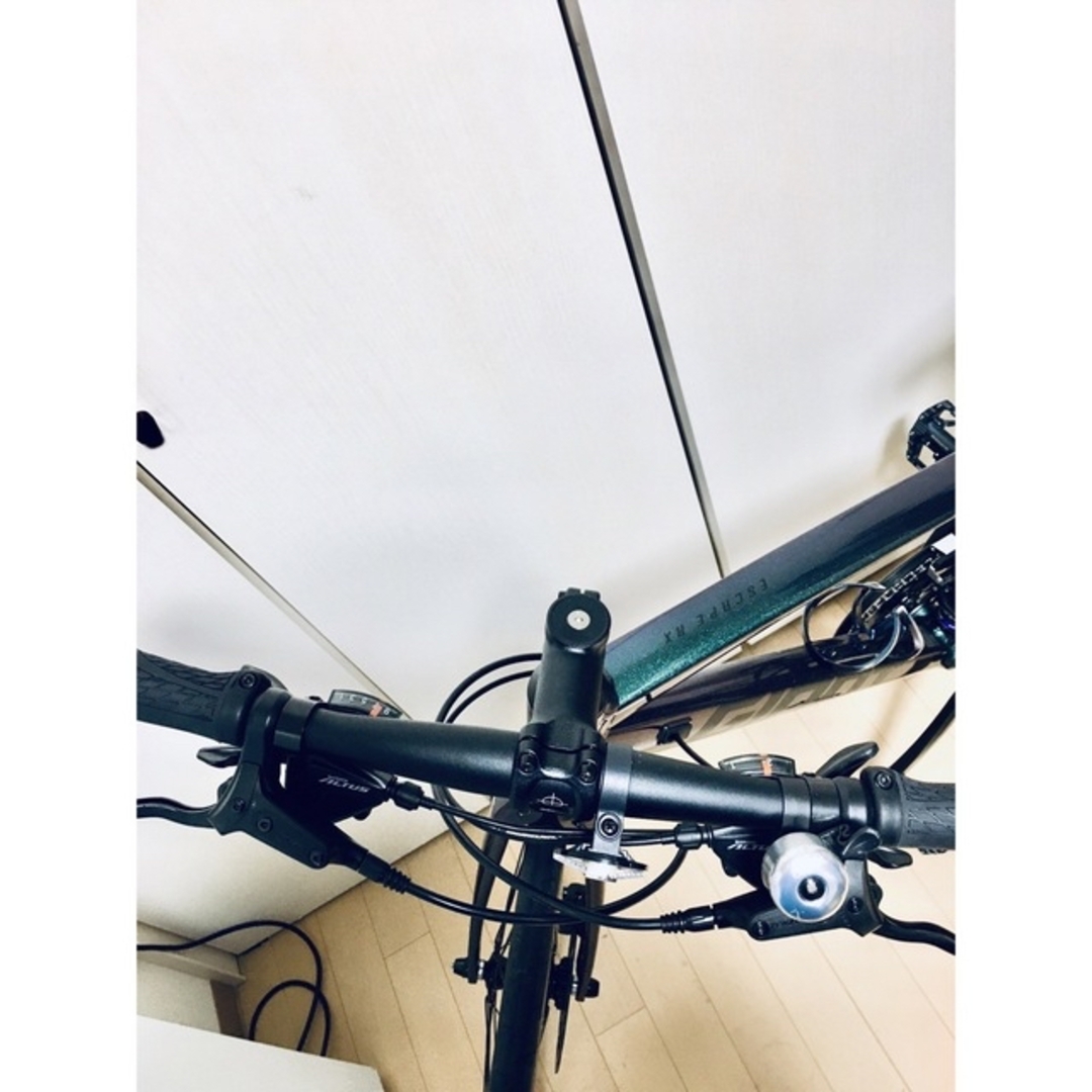 GIANT ESCAPE RX2 XS マジョーラ カメレオンカラークロスバイク 3