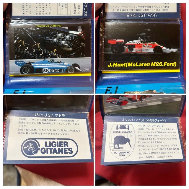 Ｆ１グランプリ　GRAND PRIX  ポケットパス カラーカード・シール・手帳 スポーツ/アウトドアのスポーツ/アウトドア その他(その他)の商品写真