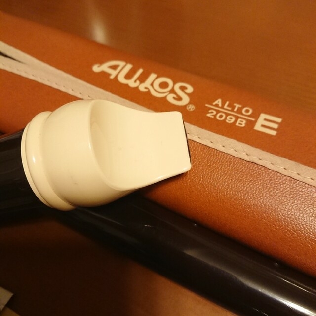 アウロス アルトリコーダー 楽器の管楽器(リコーダー)の商品写真