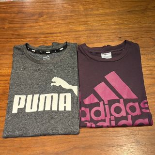 プーマ(PUMA)のPUMA adidas Tシャツ 2枚セット　160cm(その他)