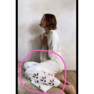 ザラ(ZARA)のzara 花カットワークニットパンツ(カジュアルパンツ)