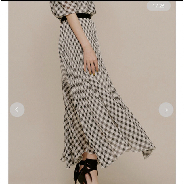 Lily Brown(リリーブラウン)のシアーギンガムスカート レディースのスカート(ロングスカート)の商品写真