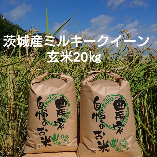 茨城令和4年産ミルキークイーン玄米20kg　米/穀物