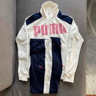 プーマ(PUMA)のPUMA ジャージ 上下セット M (その他)