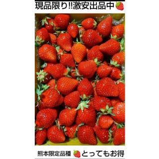 (黄箱)完熟いちご^^クール便・着払い(フルーツ)