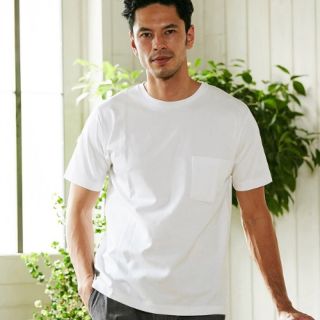 メンズビギ(MEN'S BIGI)のメンズビギ（MEN'S BIGI） マーキュリー加工 ポンチTシャツ(シャツ)