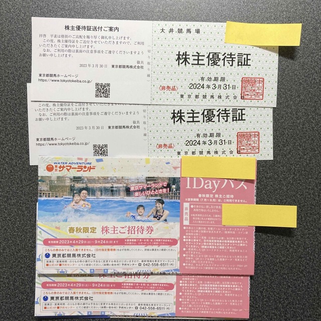 チケット【送料無料】東京都競馬　株主優待　２セット