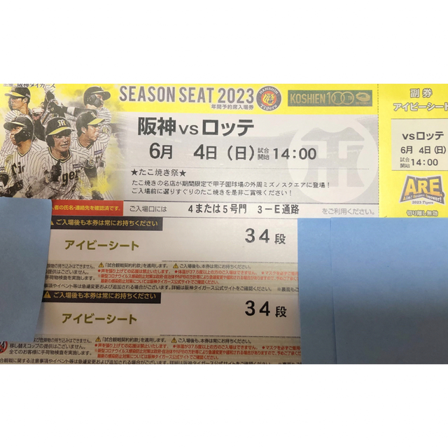 2023年6月16日(金)甲子園球場阪神VSソフトバンク1塁アイビーペアチケット