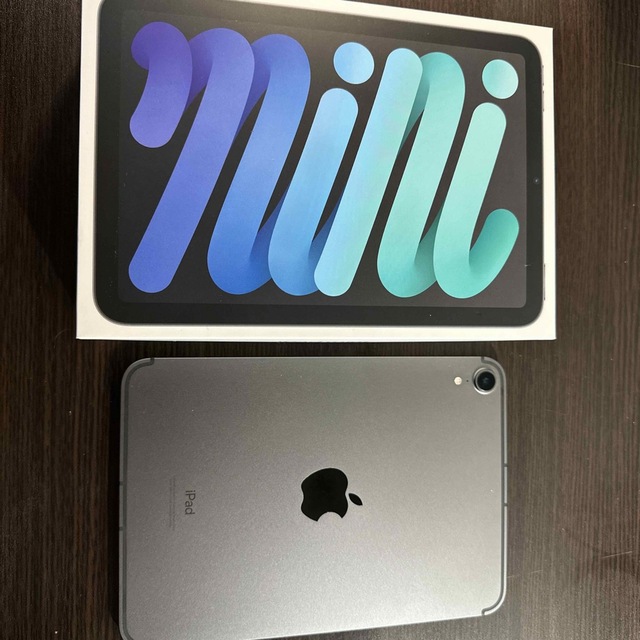 ⭐️GW特価⭐️iPad mini 第6世代256GBスペースグレイ セルラー