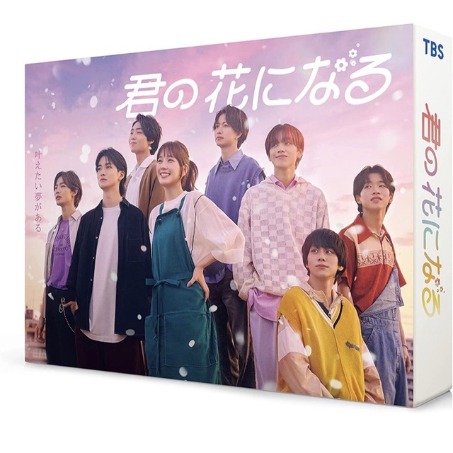 君の花になる　DVDBOX