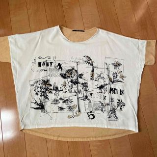 ザンパ(zampa)のZAMPA  ボタニカル柄トップス　半袖(Tシャツ(半袖/袖なし))