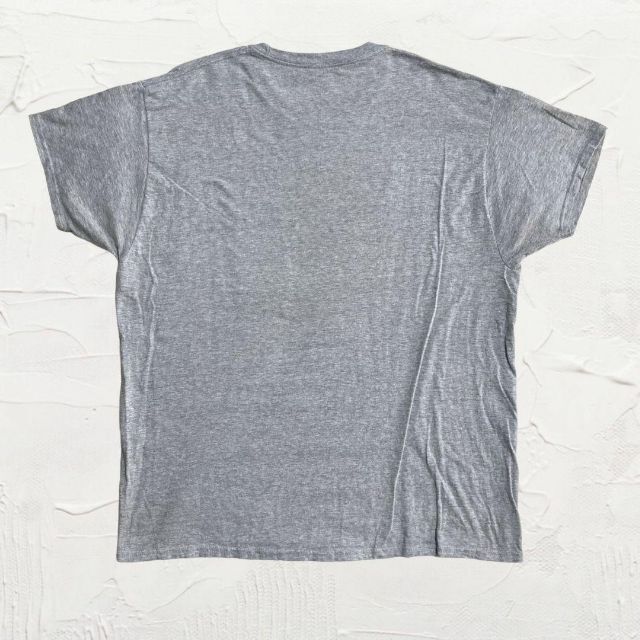 JWI Hanes ビンテージ グレー 2PAC TUPAC　ラッパー Tシャツ メンズのトップス(Tシャツ/カットソー(半袖/袖なし))の商品写真