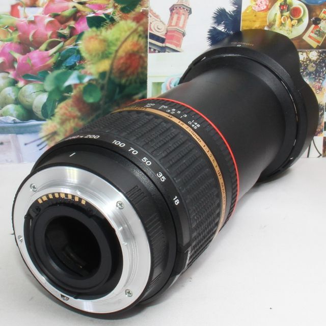 TAMRON PENTAX用 18-250mm 望遠レンズ 美品！