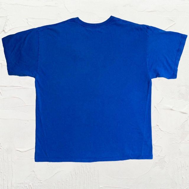JUZ NFL ビンテージ バッファロービルス　アメフト　プロチーム Tシャツ メンズのトップス(Tシャツ/カットソー(半袖/袖なし))の商品写真