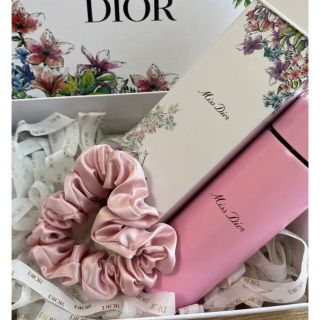 クリスチャンディオール(Christian Dior)のディオール　水筒　シュシュ　ノベルティ(その他)