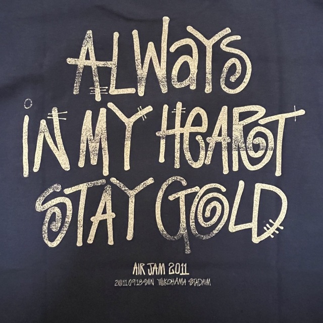 STUSSY(ステューシー)の【激レア】air jam 2011 stussy stay gold Tシャツ エンタメ/ホビーのタレントグッズ(ミュージシャン)の商品写真