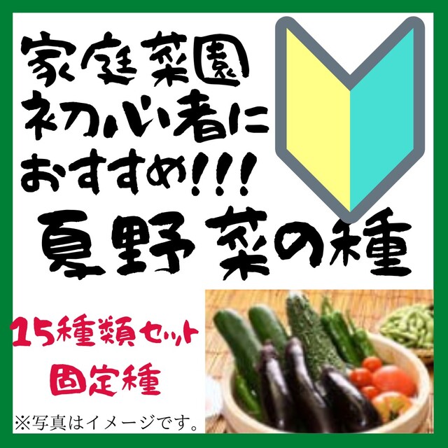 夏　野菜の種　種子　家庭菜園におすすめ　固定種【2023年-2】 エンタメ/ホビーのエンタメ その他(その他)の商品写真