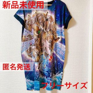 グラニフ(Design Tshirts Store graniph)のグラニフ　チュニックワンピース　シリウスの曳航　鴻池朋子　フリーサイズ(ひざ丈ワンピース)