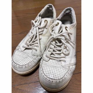 グラビス(gravis)の希少GRAVIS/グラビス　ローカットスニーカー27.5cm(スニーカー)