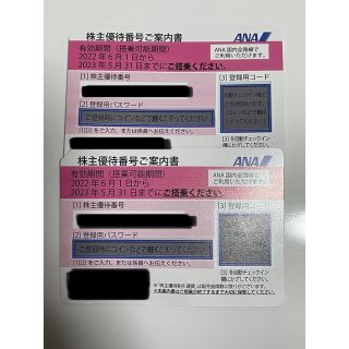 ANA 株主優待 2枚 有効期間2023/05/31(航空券)