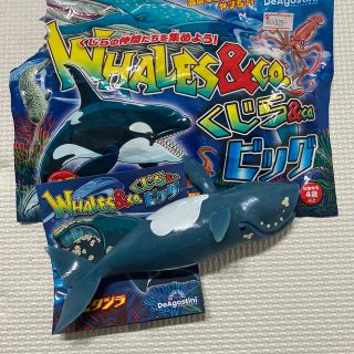 くじら&co.ビッグ　セミクジラ　新品未使用　whales&co. せみくじら(キャラクターグッズ)