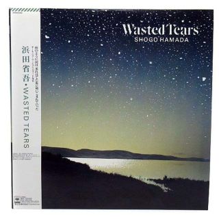 アザー(other)のLP レコード 浜田省吾 ウェステッド・ティアーズ WASTED TEARS(その他)