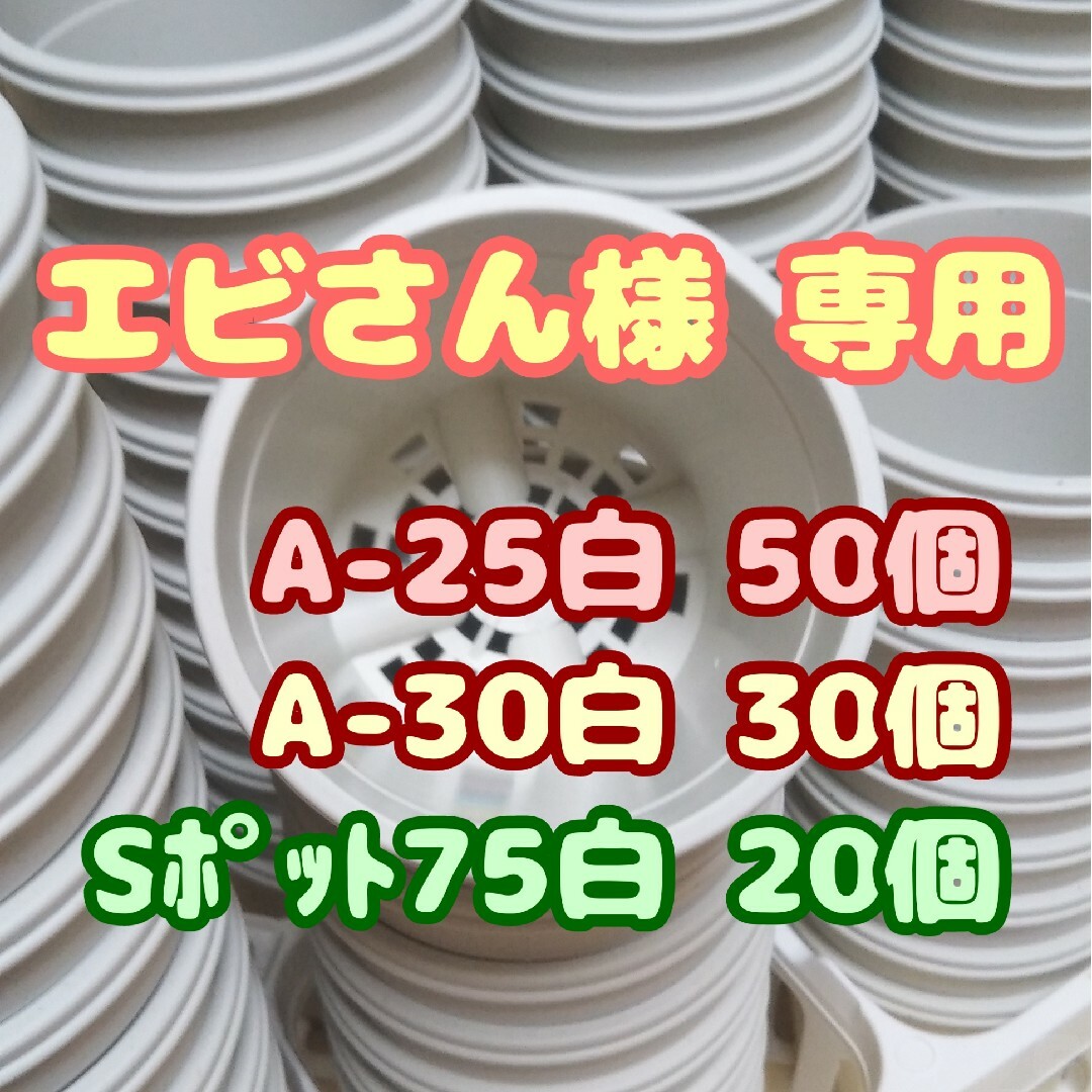 プラ鉢2.5号鉢【A-25】50個 他 スリット鉢 丸 プレステラ 多肉植物 ハンドメイドのフラワー/ガーデン(プランター)の商品写真