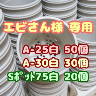 プラ鉢2.5号鉢【A-25】50個 他 スリット鉢 丸 プレステラ 多肉植物(プランター)