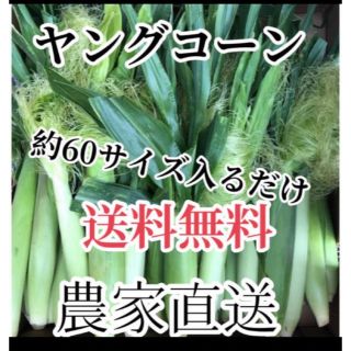 remon様専用(野菜)