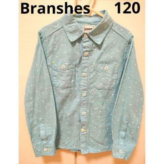 ブランシェス(Branshes)の【Branshes】シャツ【120】(ブラウス)