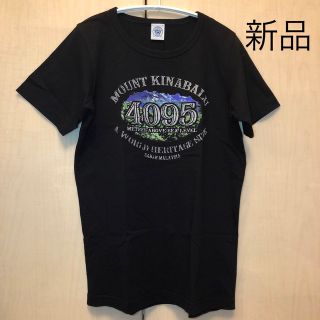 【新品】キナバル山Tシャツ（男女兼用）(Tシャツ/カットソー(半袖/袖なし))