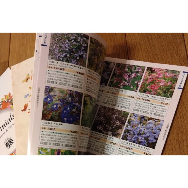 【非売品】植物カタログ　3冊セット☆　ガーデニング　雑誌 エンタメ/ホビーの雑誌(趣味/スポーツ)の商品写真