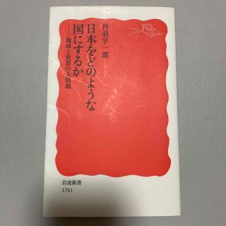 日本をどのような国にするか 地球と世界の大問題(その他)